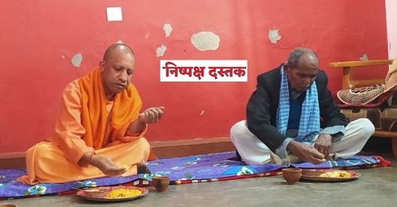 yogi