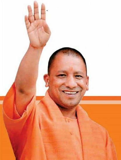 yogi