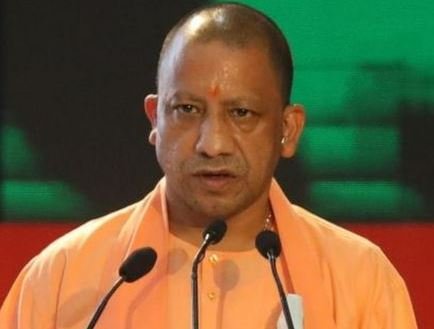yogi