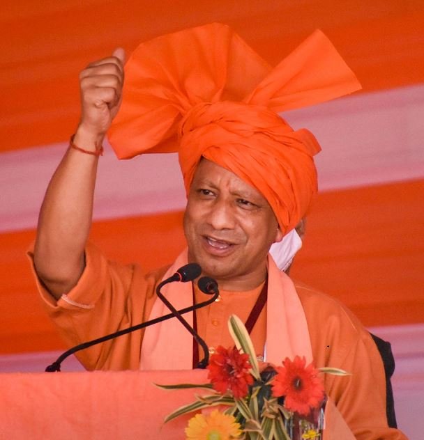yogi