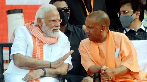 yogi