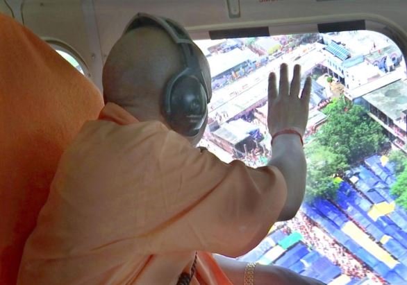 yogi
