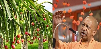 औद्यानिक फसलों से बदलेगी बुंदेलखंड किसानों की जिंदगी