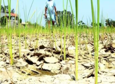 किसानों को सूखे से राहत-डॉ.आशाराम